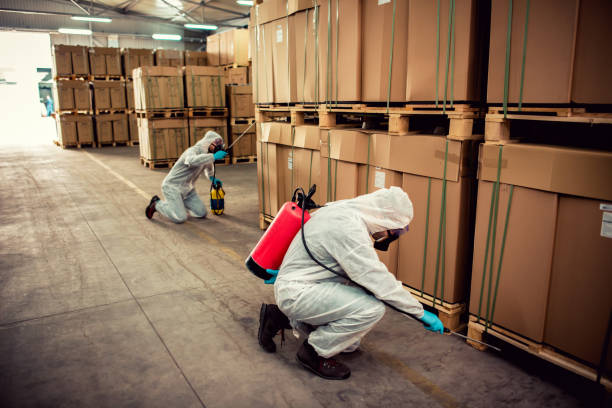 Best Exterminator Services  in Janesville, MN