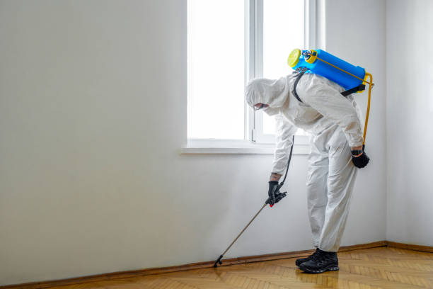 Best Residential Pest Control  in Janesville, MN