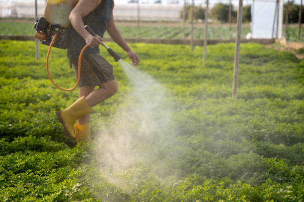 Best Mosquito Control Services  in Janesville, MN