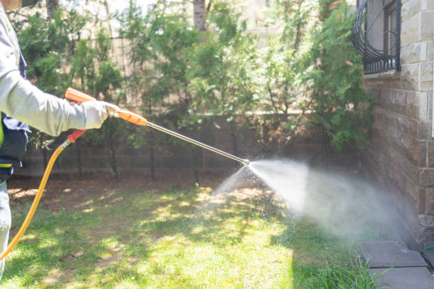 Best Affordable Pest Control Services  in Janesville, MN