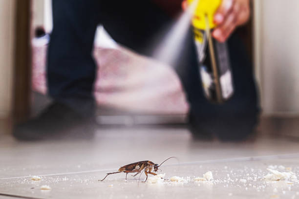 Trusted Janesville, MN Pest Control Experts