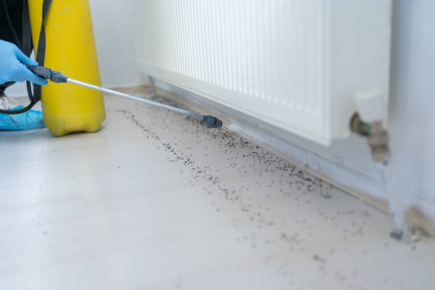 Best Affordable Pest Control Services  in Janesville, MN