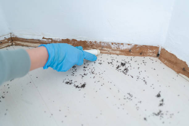 Pest Control Cost in Janesville, MN