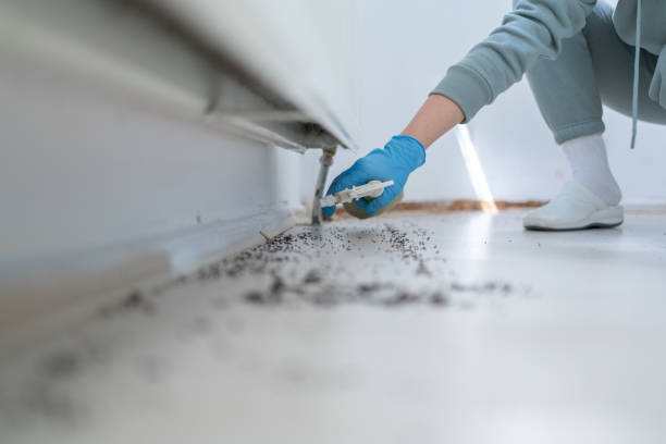 Best Emergency Pest Control  in Janesville, MN