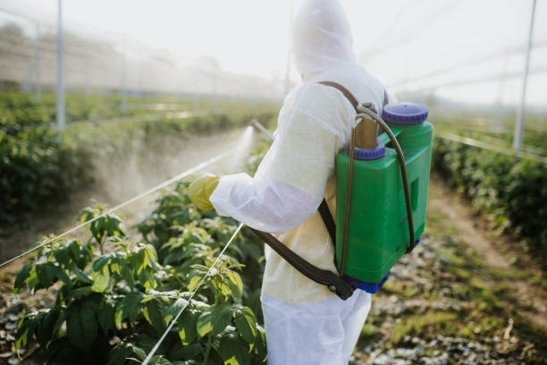 Best Best Pest Control Companies  in Janesville, MN